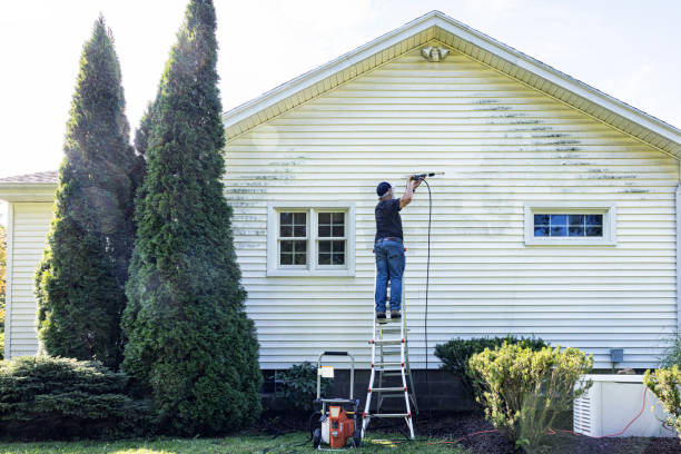 Best Driveway Pressure Washing  in West Ishpeng, MI